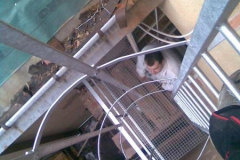 zebrik_1